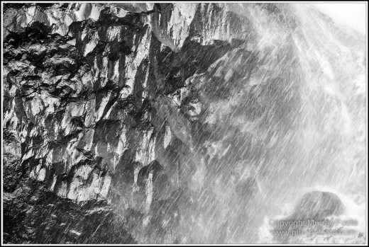 Atherton Tablelands, Black and White, Cathedral Fig Tree, Curtain Fig Tree, Herberton, Infrared, Landscape, Monochrome, Nature, Photography, Striped Possum, Sugar glider, Travel, Waterfall, Wildlife