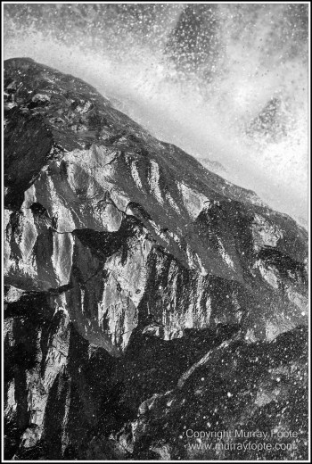 Atherton Tablelands, Black and White, Cathedral Fig Tree, Curtain Fig Tree, Herberton, Infrared, Landscape, Monochrome, Nature, Photography, Striped Possum, Sugar glider, Travel, Waterfall, Wildlife