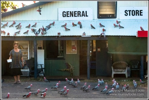Atherton Tablelands, Infrared, Landscape, Laura, Nature, Photography, Travel, Wilderness, Wildlife
