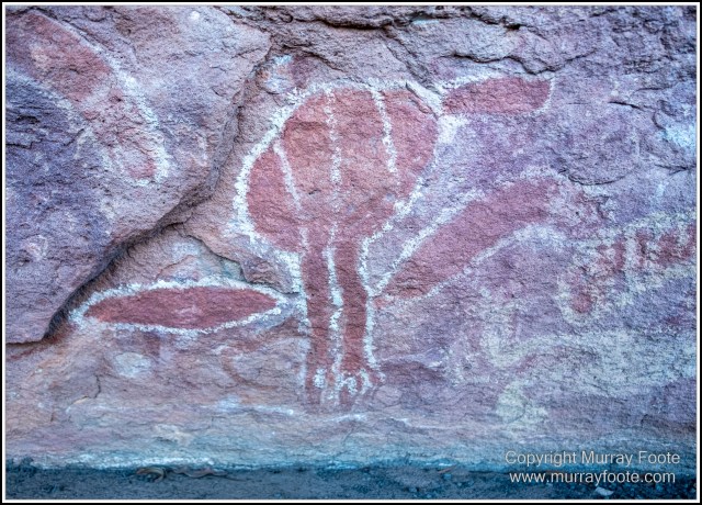 Landscape, Laura, Macro, Nature, Photography, Queensland, Rock Art, Travel, Wilderness, Wildlife