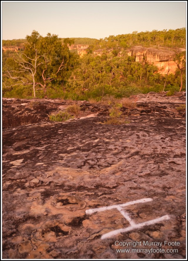 Landscape, Laura, Macro, Nature, Photography, Queensland, Rock Art, Travel, Wilderness, Wildlife