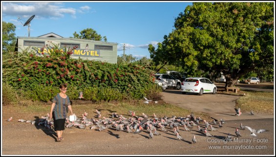 Atherton Tablelands, Infrared, Landscape, Laura, Nature, Photography, Travel, Wilderness, Wildlife