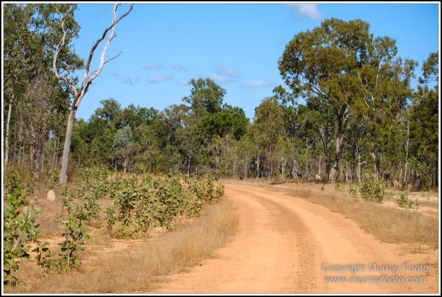 Landscape, Laura, Nature, Photography, Rock Art, Travel, Wilderness, Wildlife