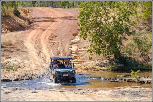 Landscape, Laura, Nature, Photography, Rock Art, Travel, Wilderness, Wildlife