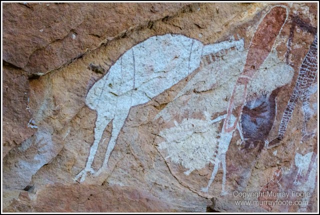 Landscape, Laura, Nature, Photography, Rock Art, Travel, Wilderness, Wildlife