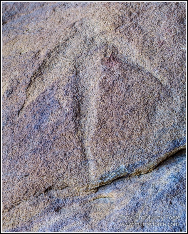 Landscape, Laura, Nature, Photography, Rock Art, Travel, Wilderness, Wildlife