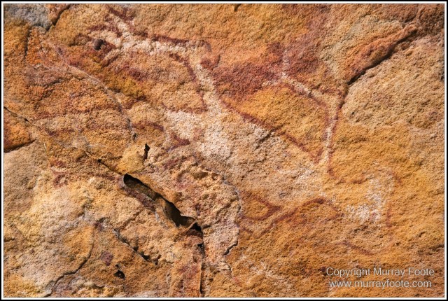 Landscape, Laura, Macro, Nature, Photography, Queensland, Rock Art, Travel, Wilderness, Wildlife
