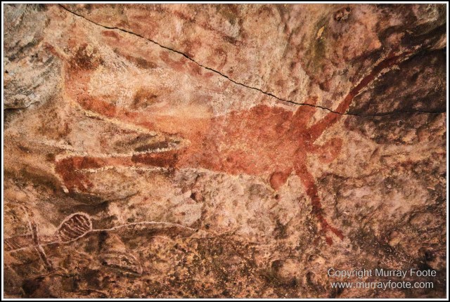 Landscape, Laura, Macro, Nature, Photography, Queensland, Rock Art, Travel, Wilderness, Wildlife