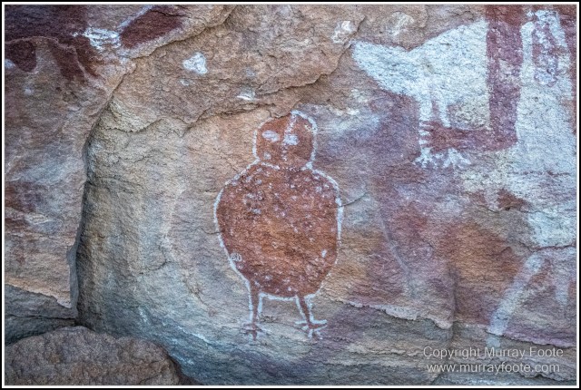 Landscape, Laura, Macro, Nature, Photography, Queensland, Rock Art, Travel, Wilderness, Wildlife
