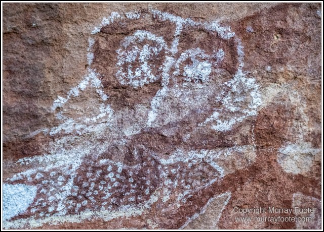 Landscape, Laura, Macro, Nature, Photography, Queensland, Rock Art, Travel, Wilderness, Wildlife