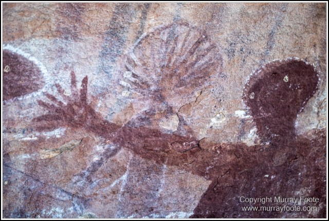 Landscape, Laura, Macro, Nature, Photography, Queensland, Rock Art, Travel, Wilderness, Wildlife