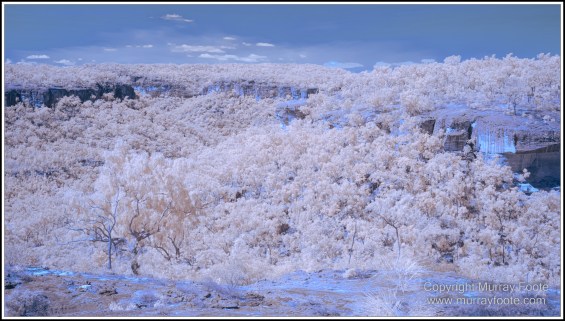 Cooktown, Infrared, Keatings Lagoon, Landscape, Laura, Mullabidgee, Nature, Photography, Queensland, Travel, Wetlands, Wilderness