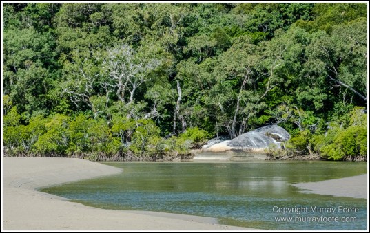 Landscape, Macro, Nature, Photography, Queensland, Rock Art, Travel, Wilderness