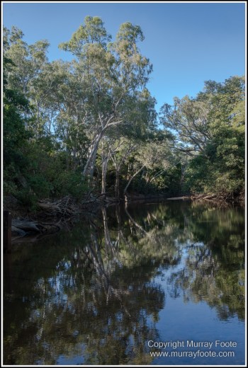 Landscape, Macro, Nature, Photography, Queensland, Rock Art, Travel, Wilderness