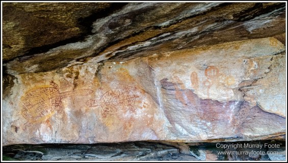 Landscape, Macro, Nature, Photography, Queensland, Rock Art, Travel, Wilderness