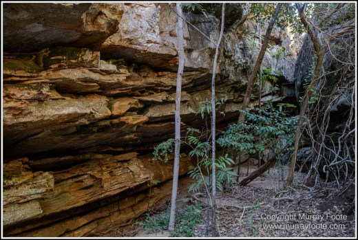 Landscape, Macro, Nature, Photography, Queensland, Rock Art, Travel, Wilderness