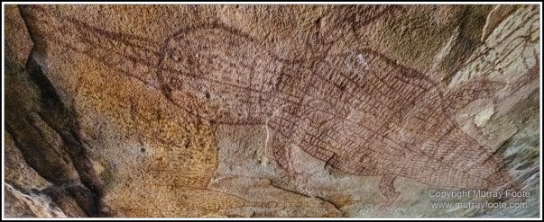 Landscape, Macro, Nature, Photography, Queensland, Rock Art, Travel, Wilderness