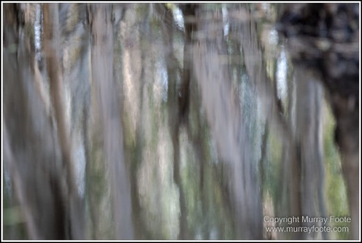 Abstract, Birds, Landscape, Mulbabidgee, Nature, Photography, Queensland, Travel, Wetlands, Wilderness, Wildlife