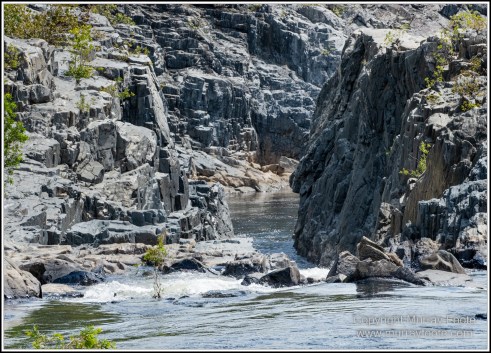 Abstract, Birds, Landscape, Mulbabidgee, Nature, Photography, Queensland, Travel, Wetlands, Wilderness, Wildlife