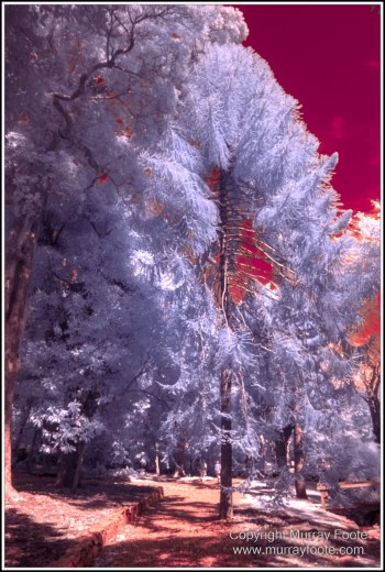 Cooktown, Infrared, Keatings Lagoon, Landscape, Laura, Mullabidgee, Nature, Photography, Queensland, Travel, Wetlands, Wilderness