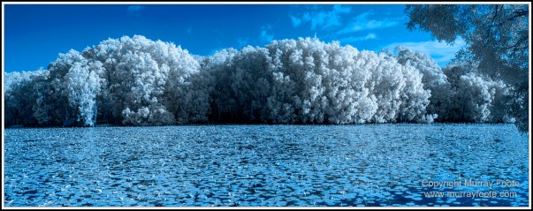 Cooktown, Infrared, Keatings Lagoon, Landscape, Laura, Mullabidgee, Nature, Photography, Queensland, Travel, Wetlands, Wilderness