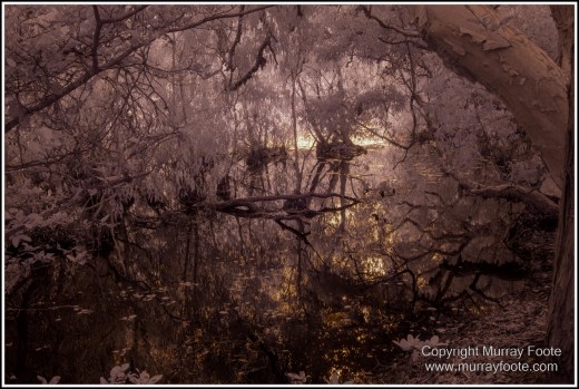 Cooktown, Infrared, Keatings Lagoon, Landscape, Laura, Mullabidgee, Nature, Photography, Queensland, Travel, Wetlands, Wilderness