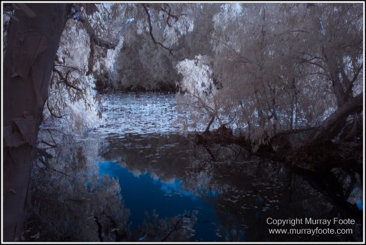Cooktown, Infrared, Keatings Lagoon, Landscape, Laura, Mullabidgee, Nature, Photography, Queensland, Travel, Wetlands, Wilderness