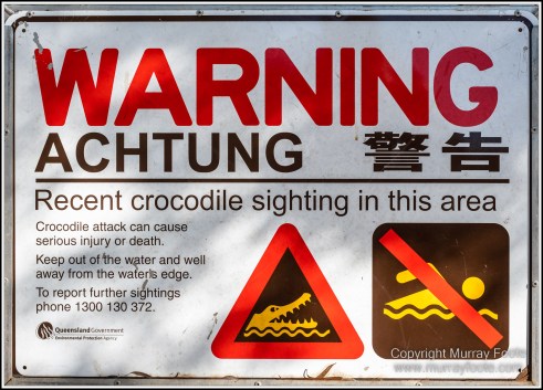 Abstract, Birds, Landscape, Mulbabidgee, Nature, Photography, Queensland, Travel, Wetlands, Wilderness, Wildlife