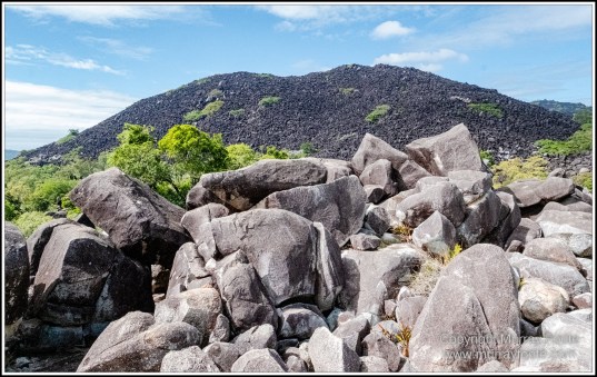 Abstract, Birds, Landscape, Mulbabidgee, Nature, Photography, Queensland, Travel, Wetlands, Wilderness, Wildlife