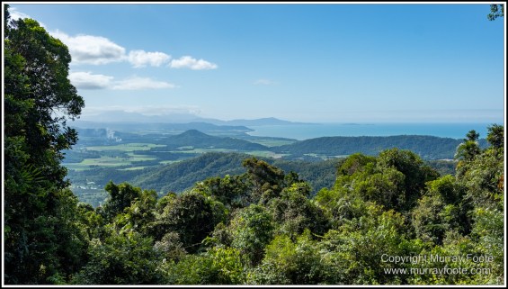 Abstract, Birds, Landscape, Mulbabidgee, Nature, Photography, Queensland, Travel, Wetlands, Wilderness, Wildlife