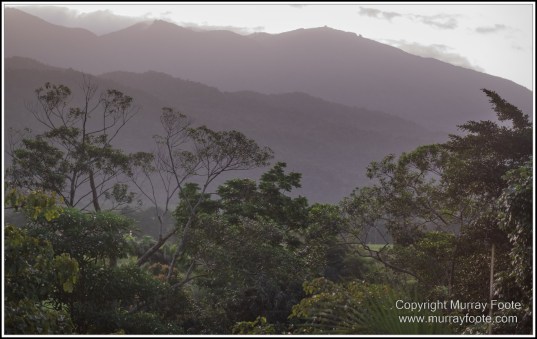 Abstract, Birds, Landscape, Mulbabidgee, Nature, Photography, Queensland, Travel, Wetlands, Wilderness, Wildlife