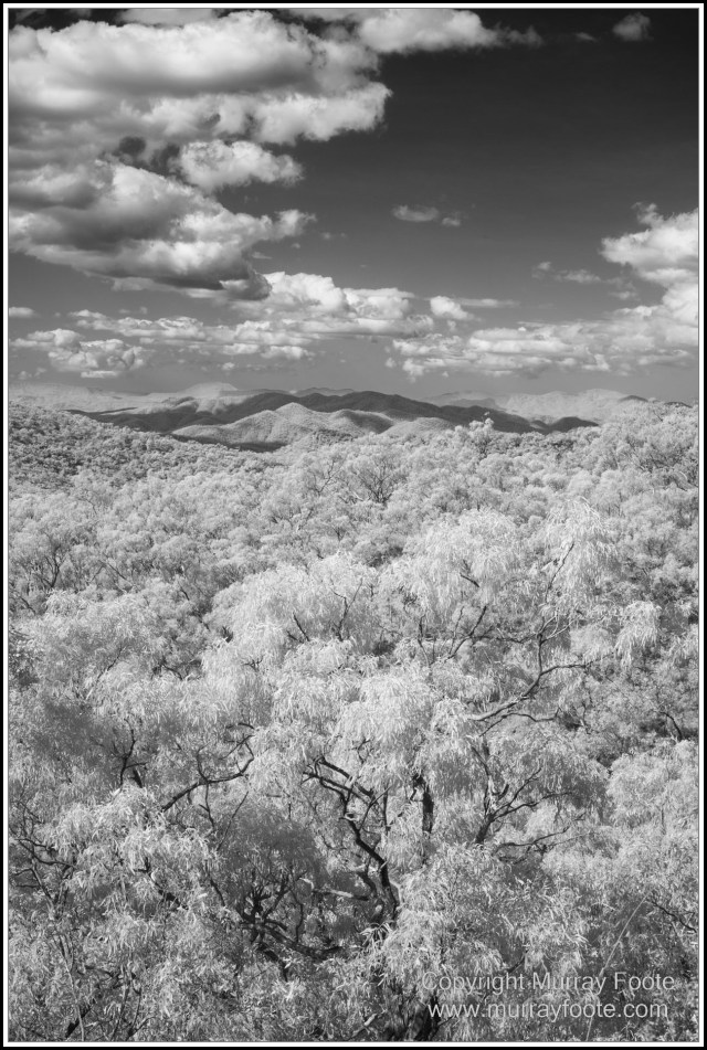 Architecture, Black and White, Infrared, Landscape, Laura, Monochrome, Nature, Photography, Rock Art, Travel, Wildlife