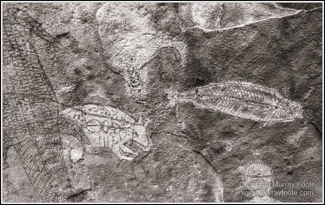 Architecture, Black and White, Cooktown, Infrared, Landscape, Monochrome, Nature, Photography, Rock Art, Travel, Wildlife