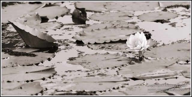 Architecture, Black and White, Cooktown, Infrared, Landscape, Monochrome, Nature, Photography, Rock Art, Travel, Wildlife