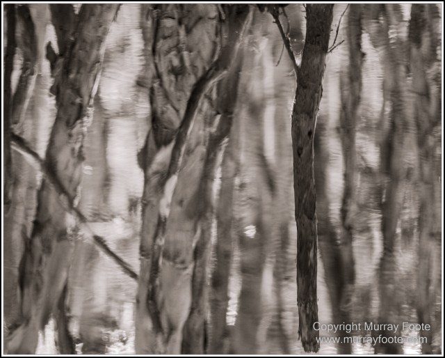 Architecture, Black and White, Cooktown, Infrared, Landscape, Monochrome, Nature, Photography, Rock Art, Travel, Wildlife