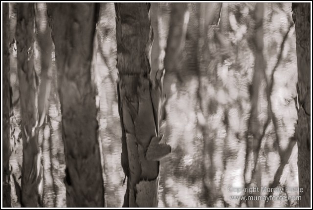 Architecture, Black and White, Cooktown, Infrared, Landscape, Monochrome, Nature, Photography, Rock Art, Travel, Wildlife