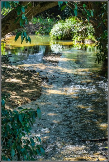Daintree River, Infrared, Landscape, Nature, Photography, Queensland, Travel, Wilderness