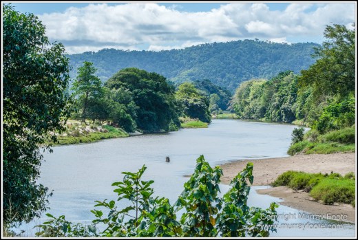 Daintree River, Infrared, Landscape, Nature, Photography, Queensland, Travel, Wilderness