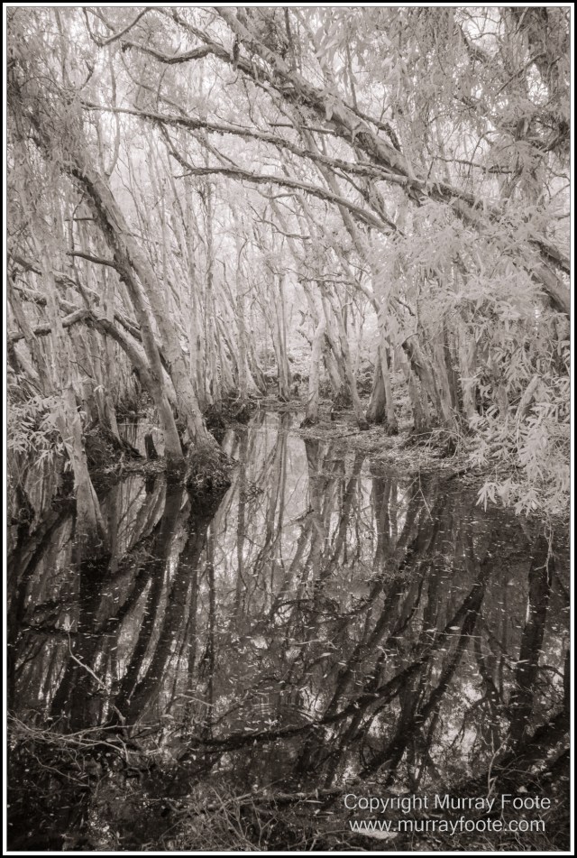 Architecture, Black and White, Cooktown, Infrared, Landscape, Monochrome, Nature, Photography, Rock Art, Travel, Wildlife