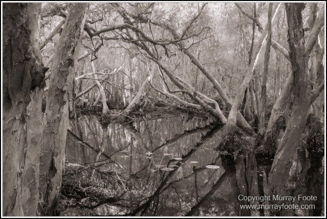 Architecture, Black and White, Cooktown, Infrared, Landscape, Monochrome, Nature, Photography, Rock Art, Travel, Wildlife