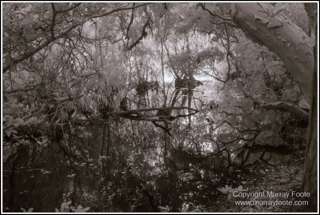 Architecture, Black and White, Cooktown, Infrared, Landscape, Monochrome, Nature, Photography, Rock Art, Travel, Wildlife