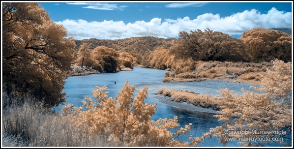 Daintree River, Infrared, Landscape, Nature, Photography, Queensland, Travel, Wilderness