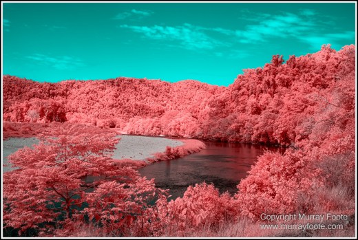 Daintree River, Infrared, Landscape, Nature, Photography, Queensland, Travel, Wilderness