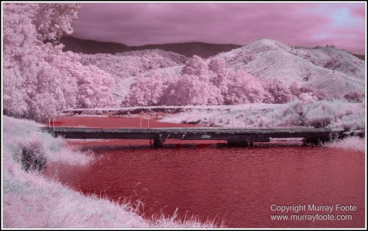 Daintree River, Infrared, Landscape, Nature, Photography, Queensland, Travel, Wilderness