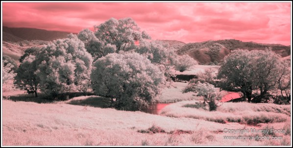 Daintree River, Infrared, Landscape, Nature, Photography, Queensland, Travel, Wilderness
