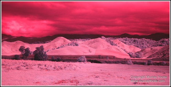 Daintree River, Infrared, Landscape, Nature, Photography, Queensland, Travel, Wilderness