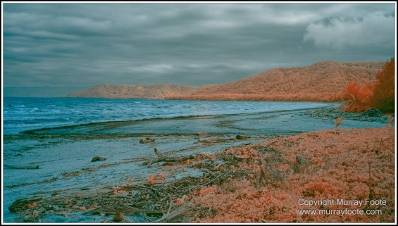 Daintree River, Infrared, Landscape, Nature, Photography, Queensland, Travel, Wilderness