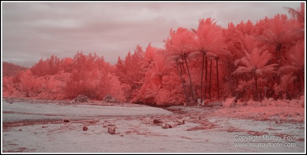 Daintree River, Infrared, Landscape, Nature, Photography, Queensland, Travel, Wilderness