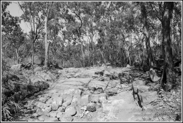 Architecture, Black and White, Infrared, Landscape, Laura, Monochrome, Nature, Photography, Rock Art, Travel, Wildlife