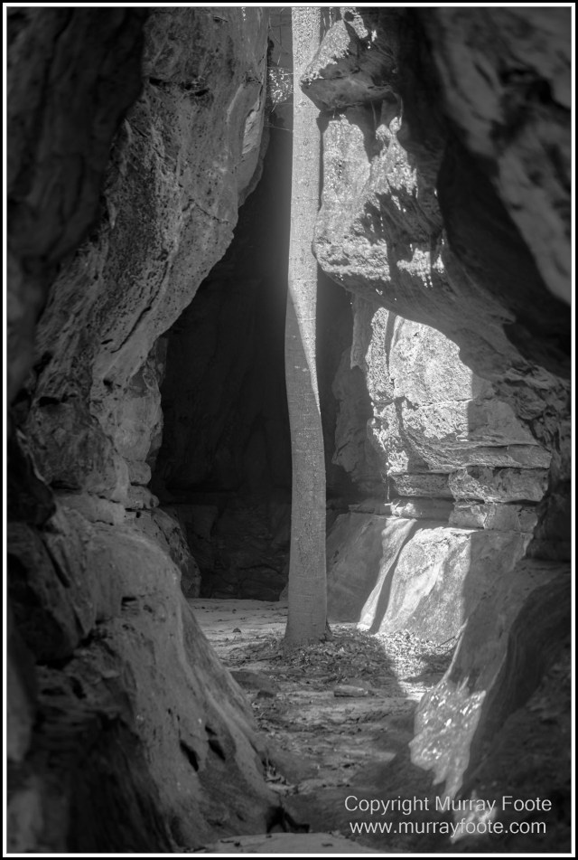 Architecture, Black and White, Infrared, Landscape, Laura, Monochrome, Nature, Photography, Rock Art, Travel, Wildlife